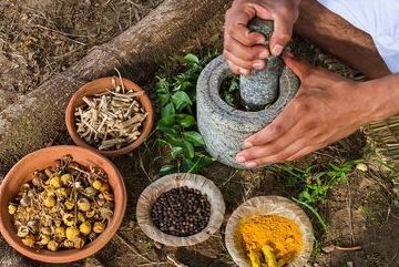 fruitsvalley Gallery